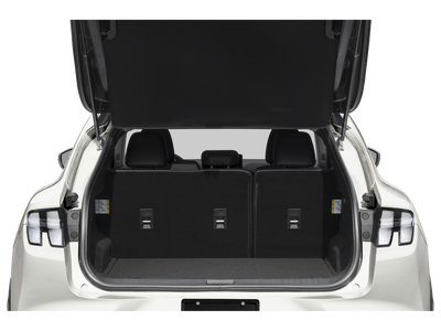 2021 Ford Mustang Mach-E California Route 1