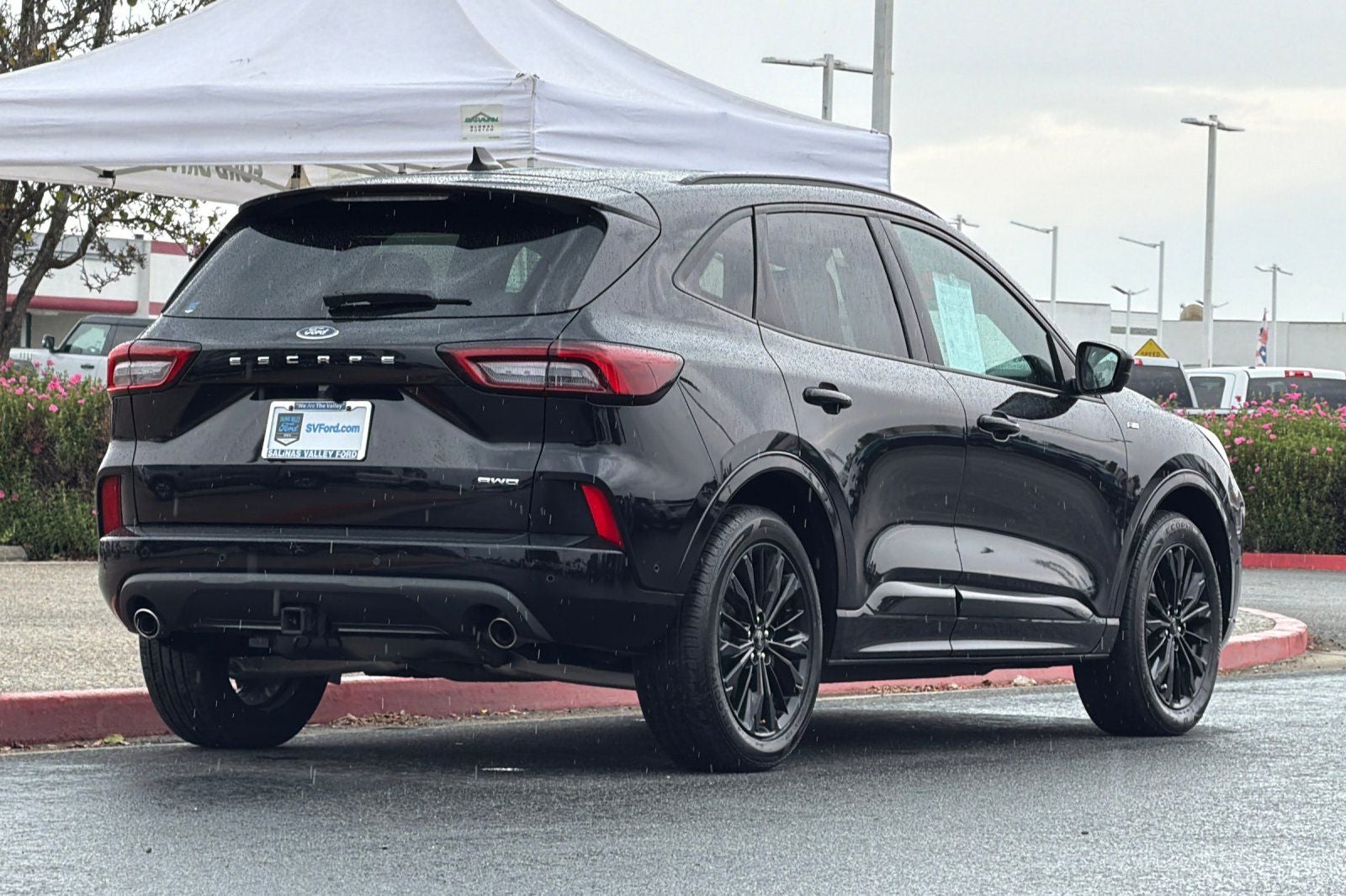 2024 Ford Escape ST-Line Elite