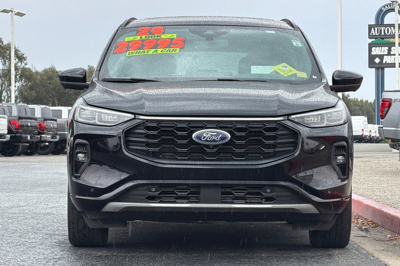 2024 Ford Escape ST-Line Elite