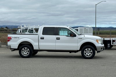 2010 Ford F-150 XLT