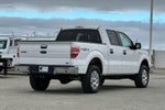 2010 Ford F-150 XLT