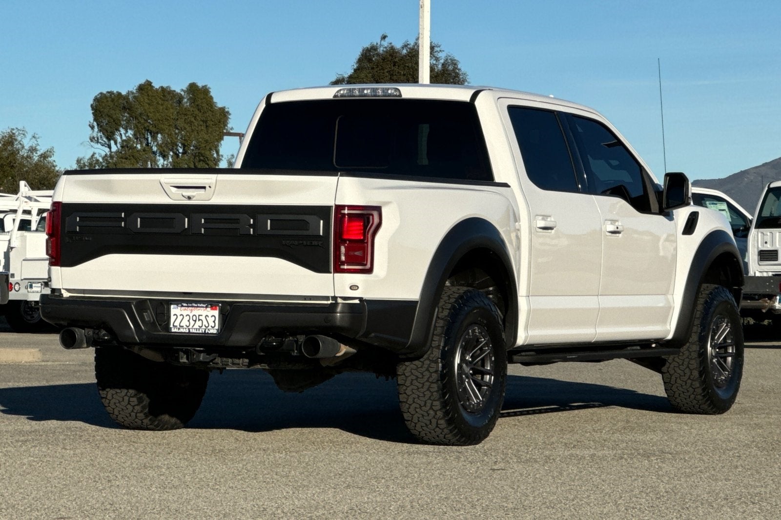2019 Ford F-150 Raptor