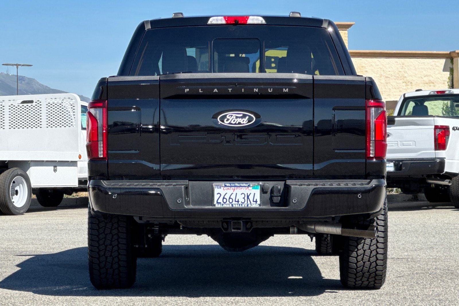 2025 Ford F-150 Platinum