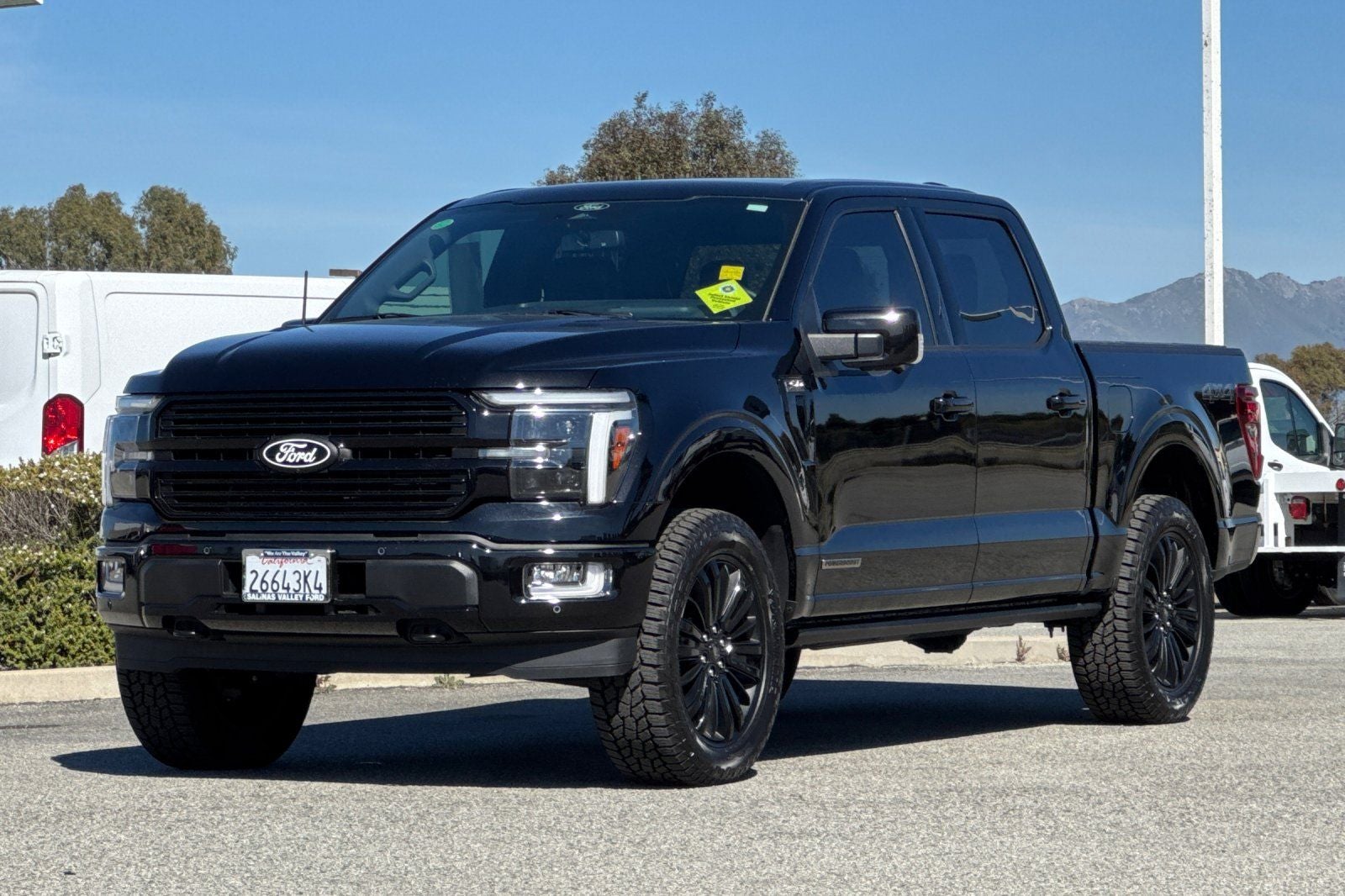 2025 Ford F-150 Platinum