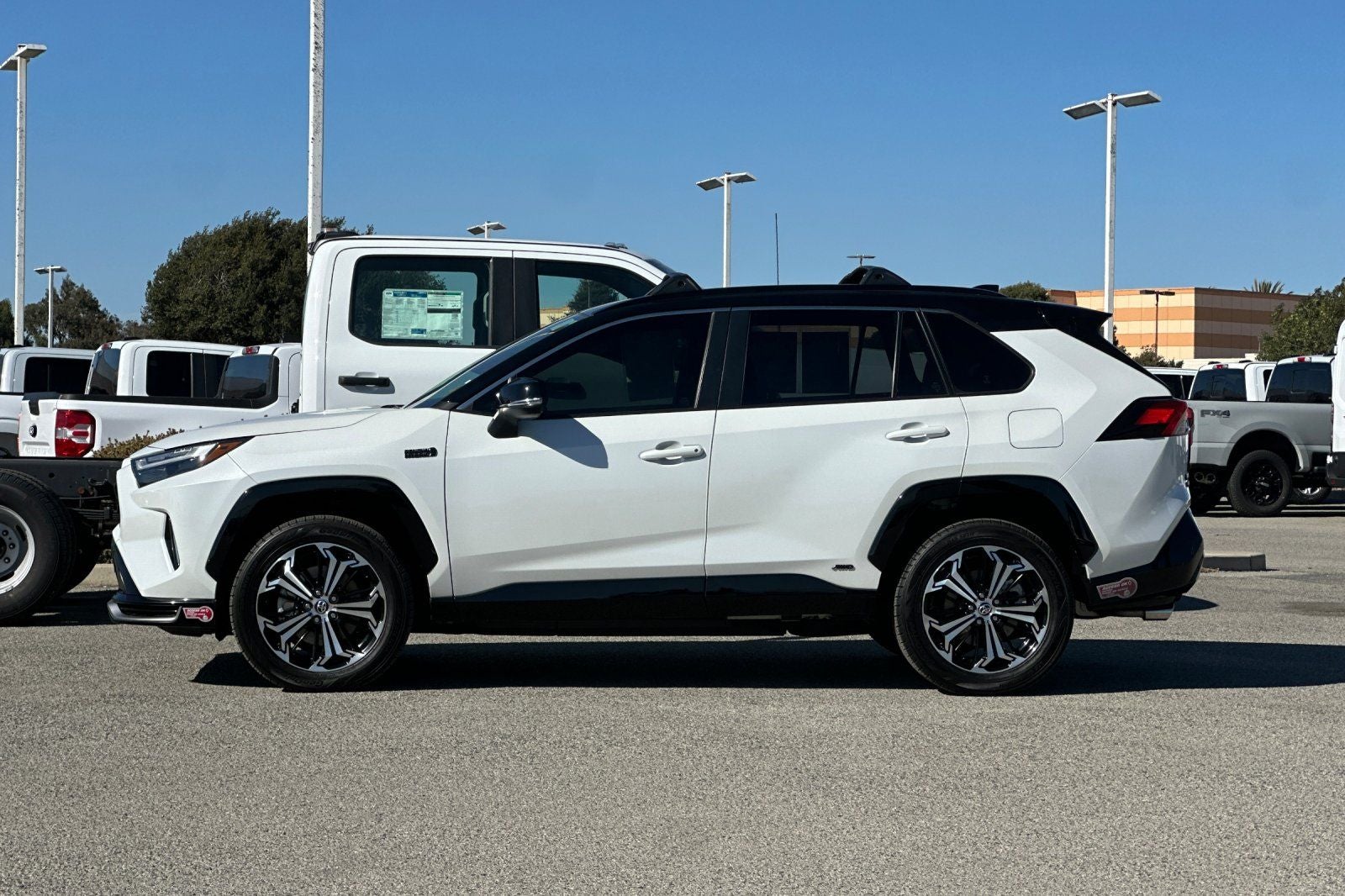2024 Toyota RAV4 Prime XSE