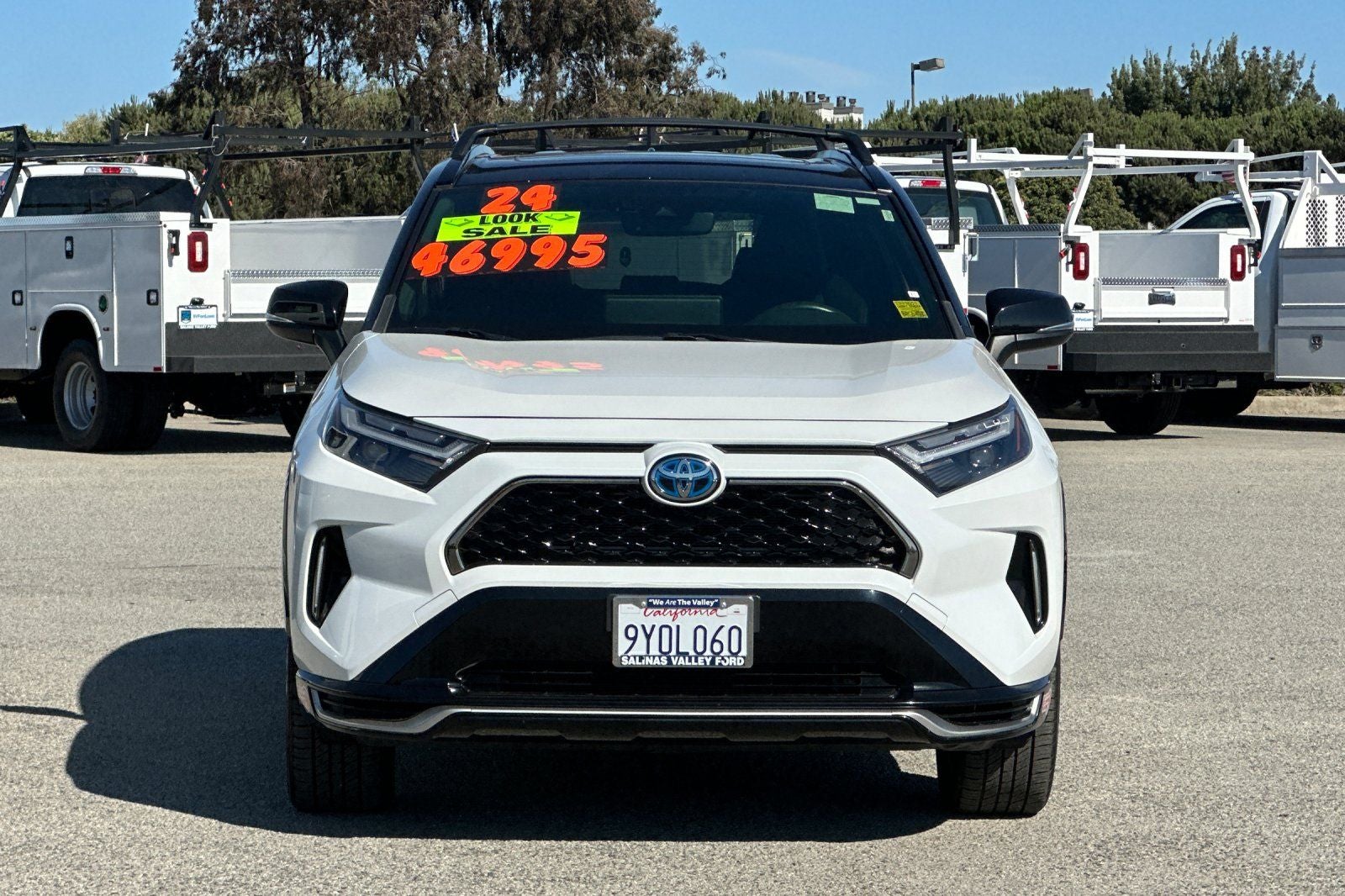 2024 Toyota RAV4 Prime XSE
