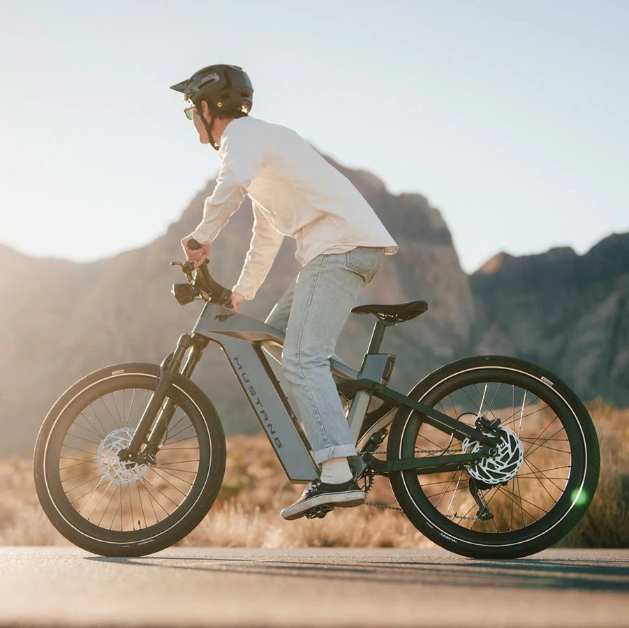 Ford E-Bike