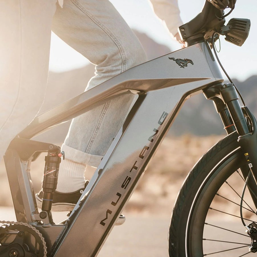 Ford E-Bike