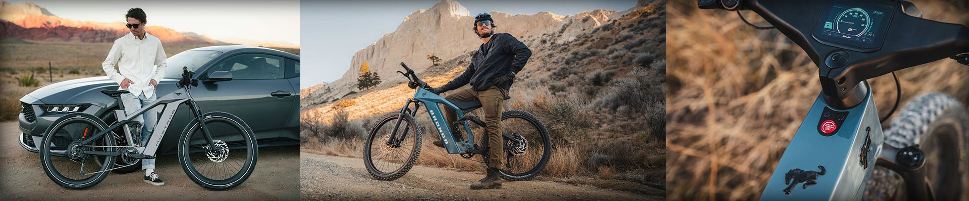 Ford E-Bike