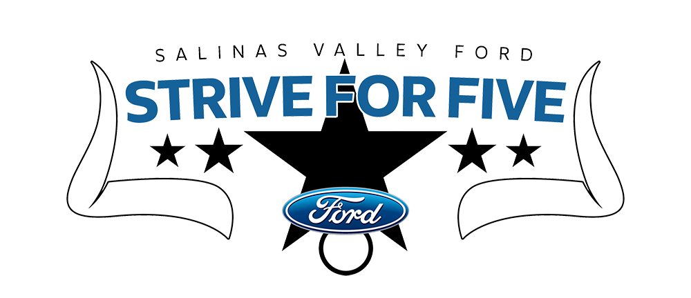 Strive For Five logo